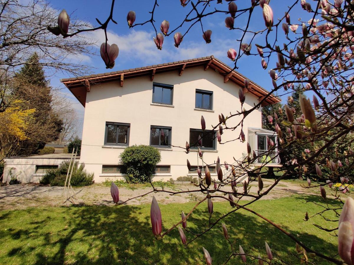 Les Pics Verts Appartement Annecy Buitenkant foto
