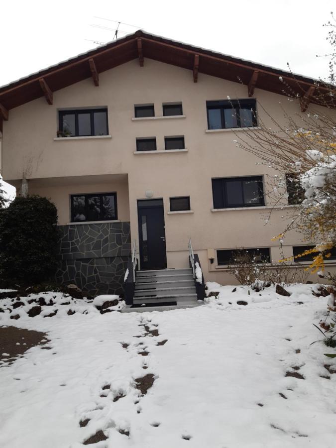 Les Pics Verts Appartement Annecy Buitenkant foto
