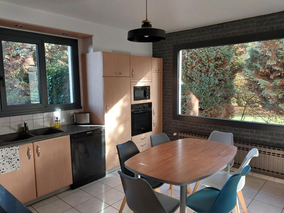 Les Pics Verts Appartement Annecy Buitenkant foto